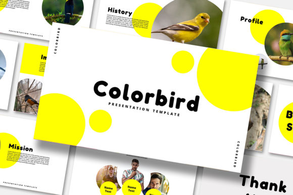 Color Bird - Keynote Template: A Visual Storyteller