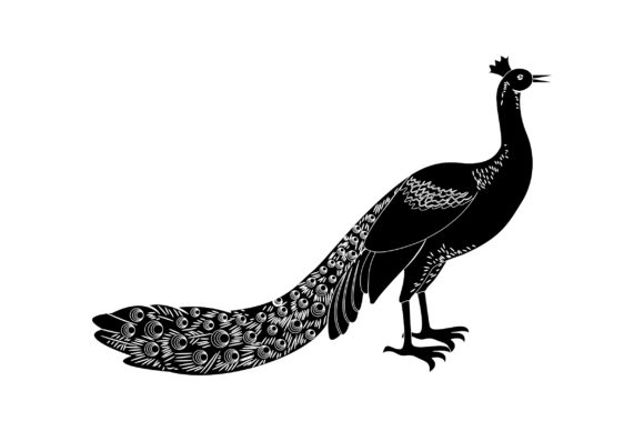 Peacock Vector Design: Bold Graphics for Modern Brands